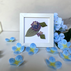 パープルブルー紫陽花 9枚目の画像