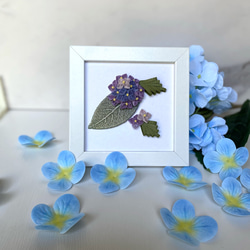パープルブルー紫陽花 1枚目の画像