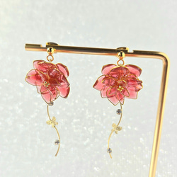 幻想花　紫陽花(プリンセスシャーロット) 3枚目の画像