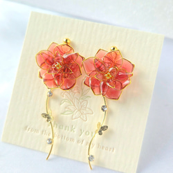 幻想花　紫陽花(プリンセスシャーロット) 1枚目の画像