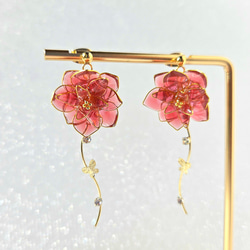 幻想花　紫陽花(プリンセスシャーロット) 5枚目の画像