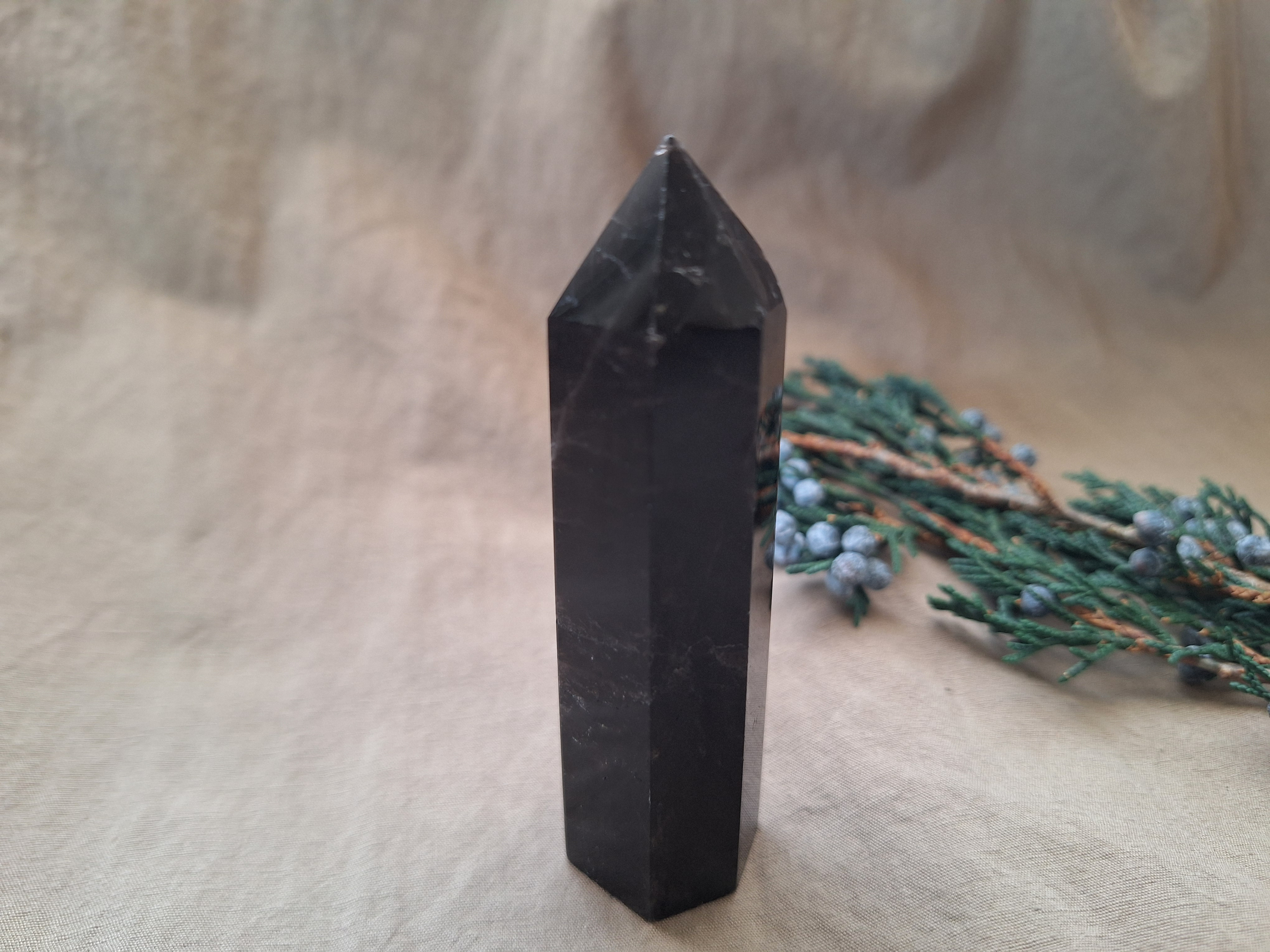 モリオン（黒水晶）六角柱ポイント（70～80ｇ）  ⑩