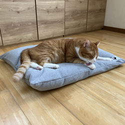 【ふとん屋こだわり】なめらかカバーの羽毛クッションベッドセット　ペットベッド 2枚目の画像