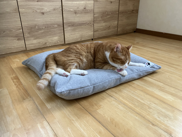 【ふとん屋こだわり】なめらかカバーの羽毛クッションベッドセット　ペットベッド 2枚目の画像