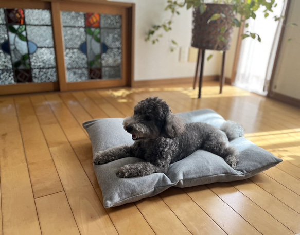 【ふとん屋こだわり】なめらかカバーの羽毛クッションベッドセット　ペットベッド 1枚目の画像