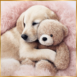 くまのぬいぐるみ - ラブラドールレトリバー犬】テディーベア・teddy