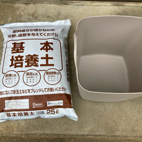 ☆送料無料【真菰(まこも)栽培キット 新芽3本付 育て方の説明書付き