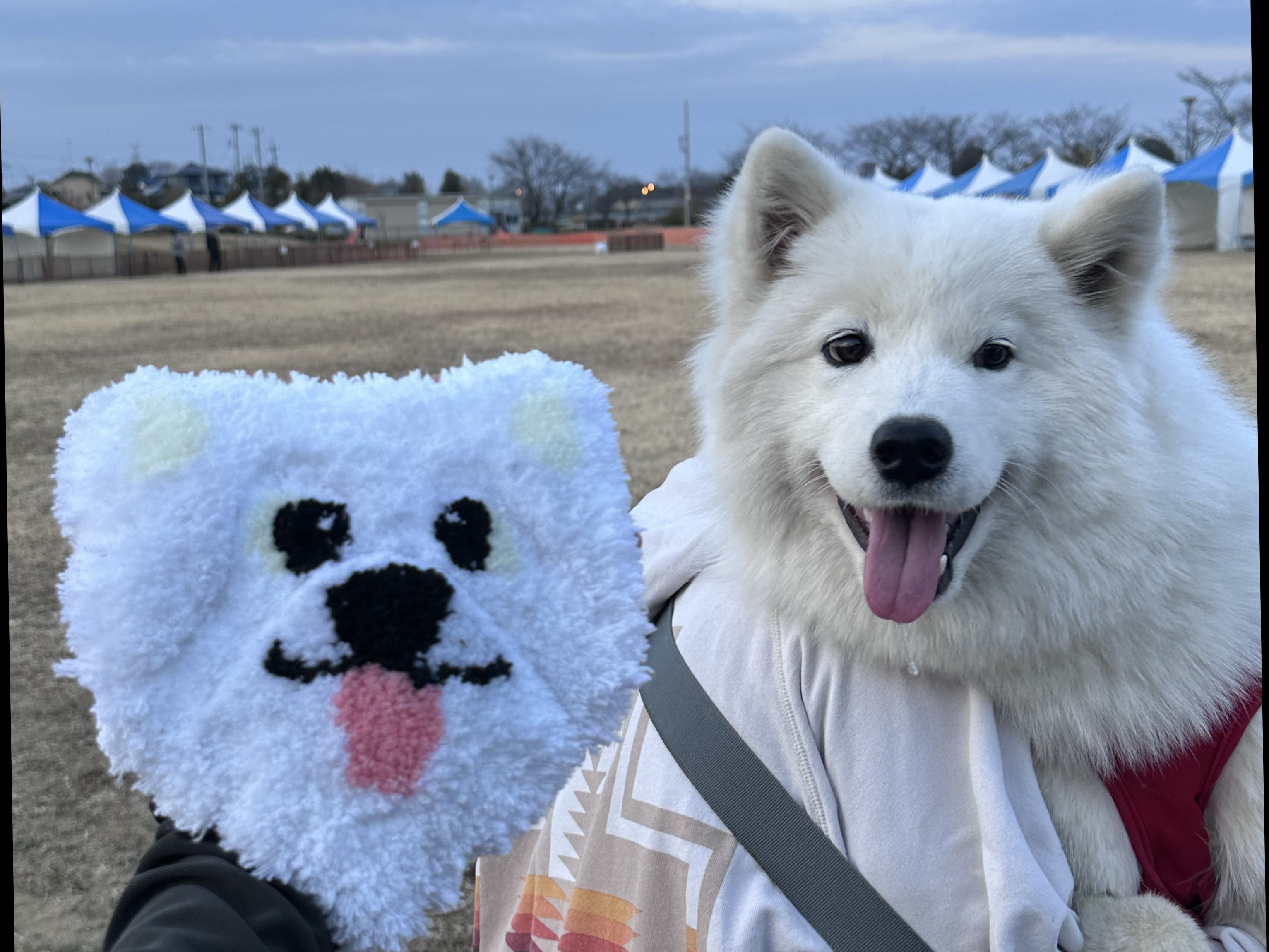 うちの子そっくりミニラグ