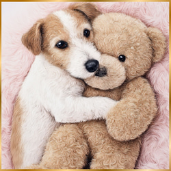 くまのぬいぐるみ - 柴犬・豆柴犬】テディーベア・teddy bear