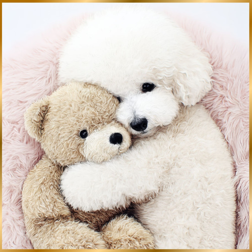 くまのぬいぐるみ - ビションフリーゼ犬】テディーベア・teddy bear