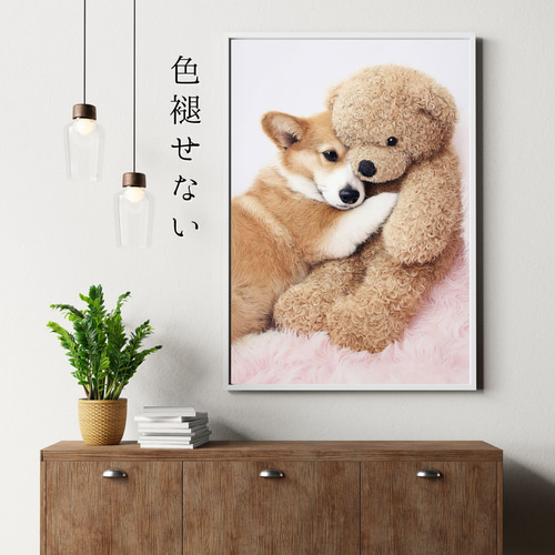 くまのぬいぐるみ - ウェルシュコーギー犬】テディーベア・teddy bear