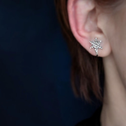 雪のささやき　本物の雪の結晶ピアス（イヤリング）　サージカルステンレス　ニッケルフリーメッキ　 1枚目の画像