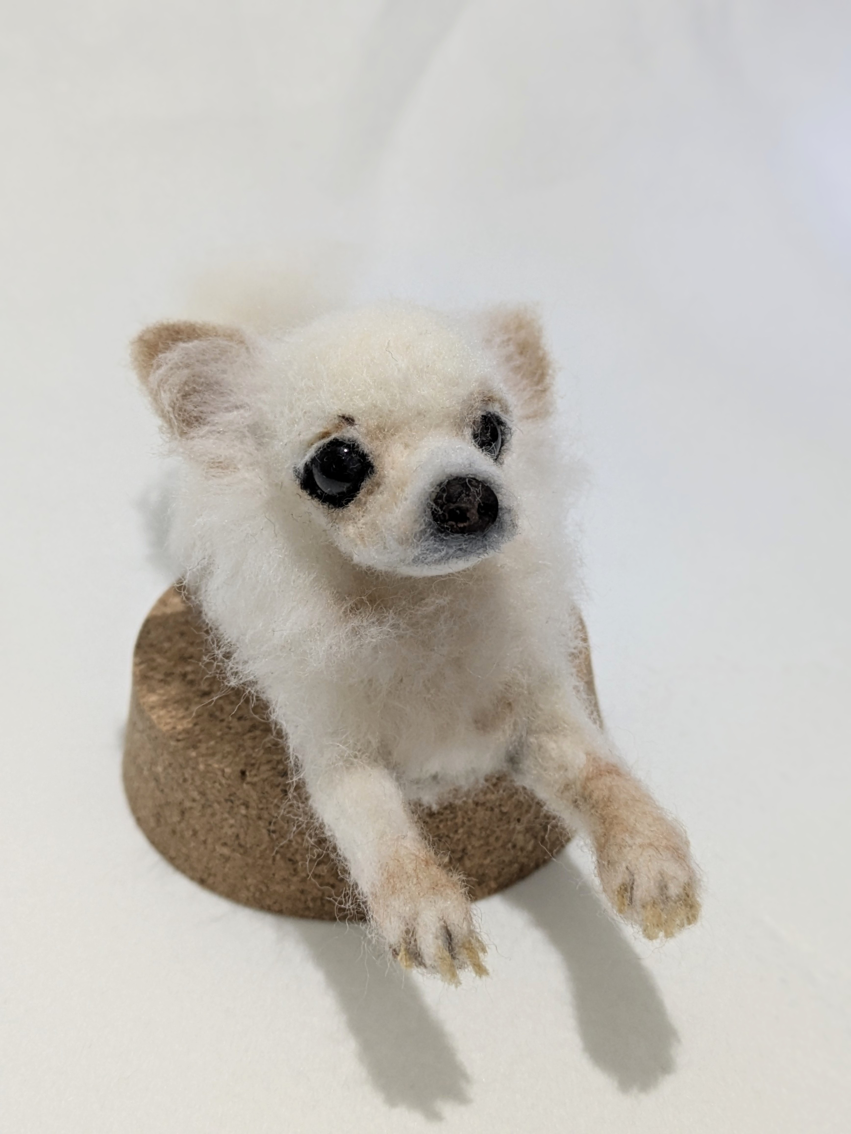 【オーダー】手乗りサイズで可愛さバツグン♥️羊毛フェルトで愛犬＆愛猫の姿を再現します。