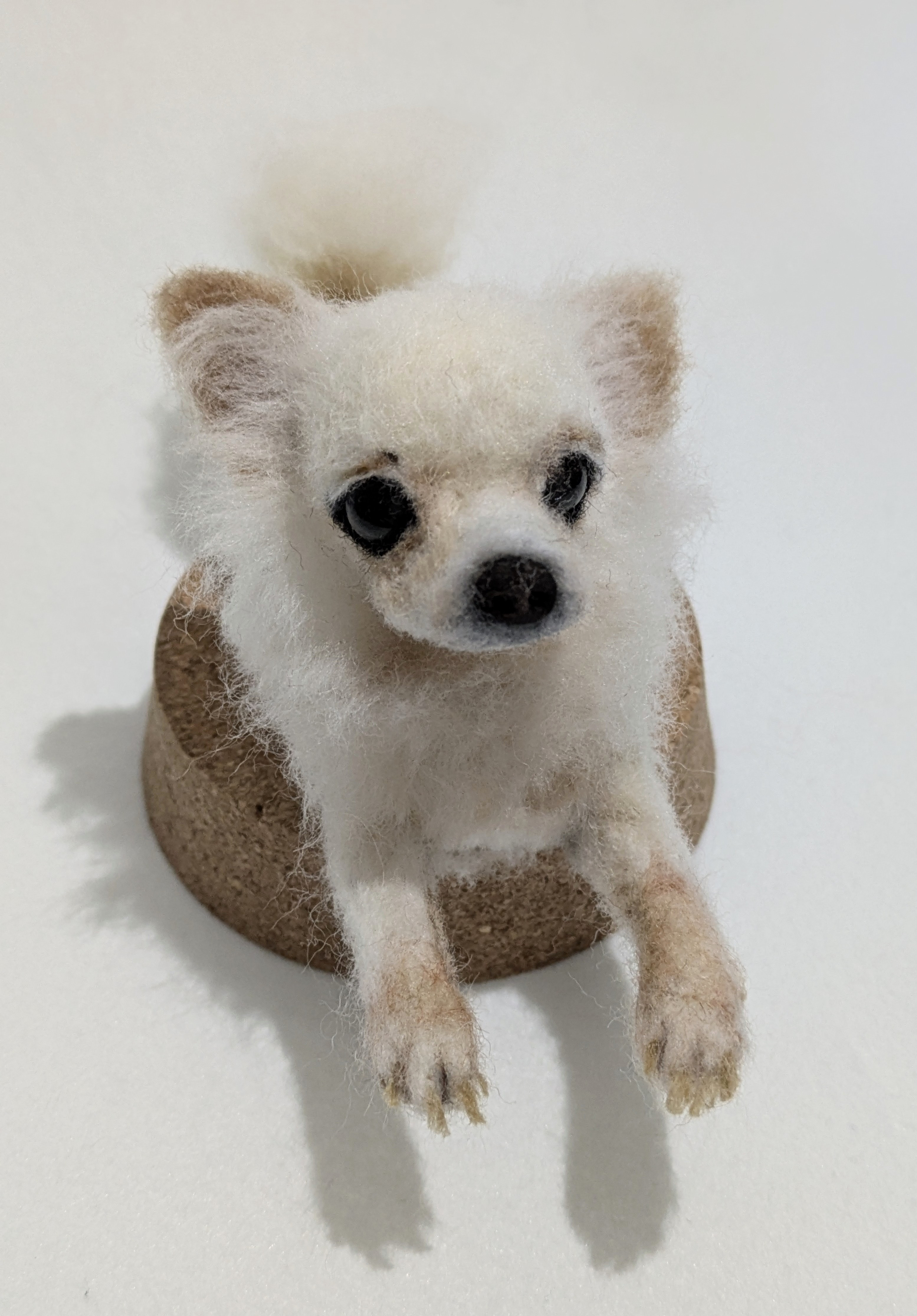 【オーダー】手乗りサイズで可愛さバツグン♥️羊毛フェルトで愛犬＆愛猫の姿を再現します。