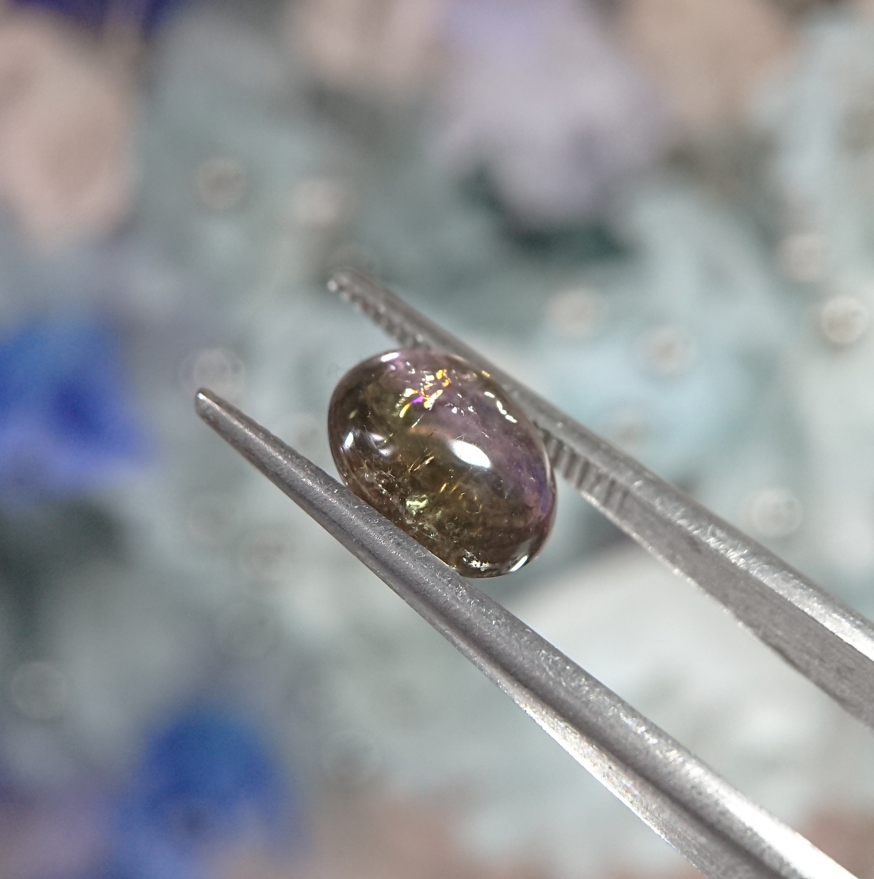 バイカラートルマリン  3.02ct ⭐2689