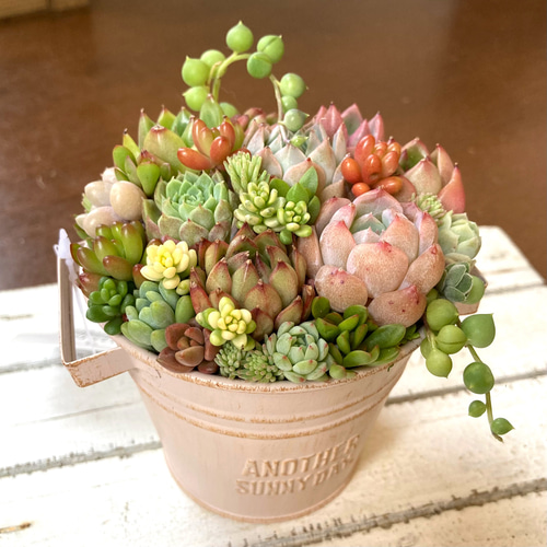 多肉植物寄せ植え ブリキポット イエロー 取っ手付き バケツ型