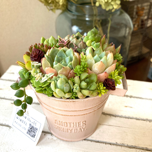 多肉植物寄せ植え ブリキポット イエロー 取っ手付き バケツ型 ギフト