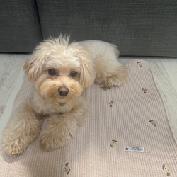 ヌビキルティングカフェマット♡ワンコ刺繍　全2色 4枚目の画像