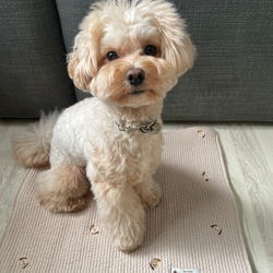 ヌビキルティングカフェマット♡ワンコ刺繍　全2色 2枚目の画像