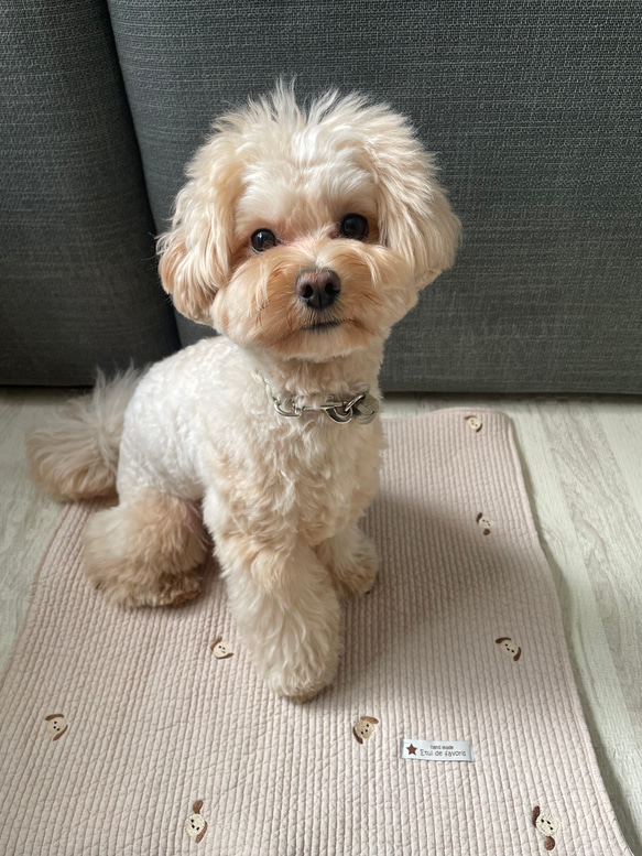 ヌビキルティングカフェマット♡ワンコ刺繍　全2色 2枚目の画像