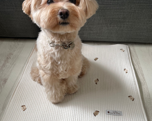 c0a73bf94bd6b2ebfd5164895d7e7d