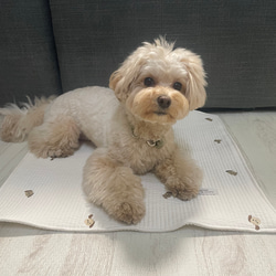 ヌビキルティングカフェマット♡ワンコ刺繍　全2色 3枚目の画像