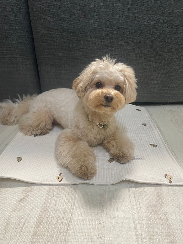 ヌビキルティングカフェマット♡ワンコ刺繍　全2色 3枚目の画像