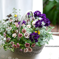 アンティークカラーの大きなバスケット★寄せ植え Amazon｜「花うるる アイビーの壁掛け寄せ植えバスケット」(04