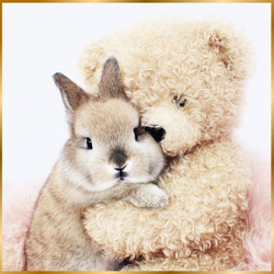 ナタリーレテ ガラス プレート D うさぎ ウサギ ラビット 熊 くま クマ