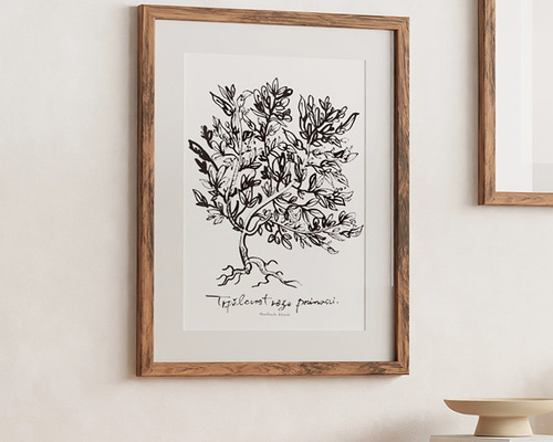 新作《植物図鑑/オリーブの大樹》 北欧ポスター/色紙サイズ (A4・A3へ