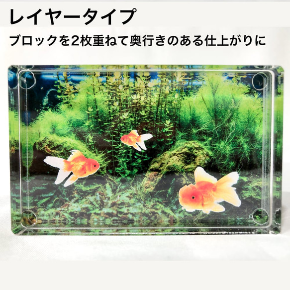 【オリジナルプリント作成】アクリルブロック 9枚目の画像