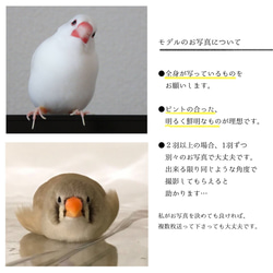 ことりのイラストオーダー（・⊝・） 9枚目の画像