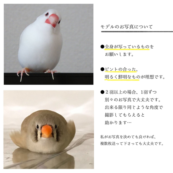 ことりのイラストオーダー（・⊝・） 9枚目の画像