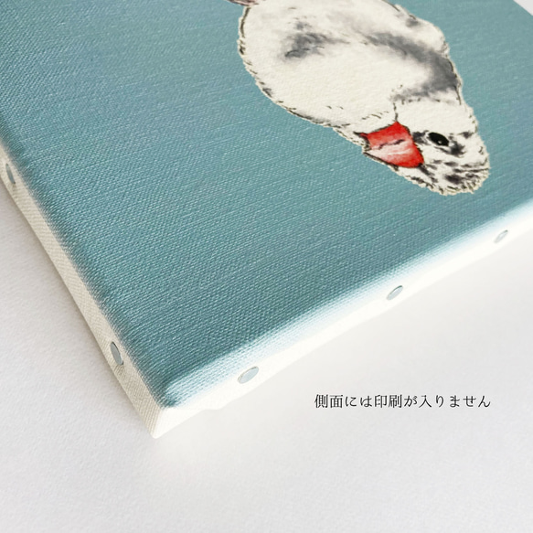 ことりのイラストオーダー（・⊝・） 12枚目の画像