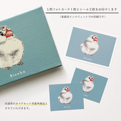 ことりのイラストオーダー（・⊝・） 4枚目の画像