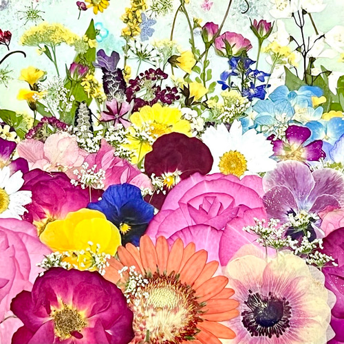 夢色の空に舞うお花のファンタジー 押し花アート額 その他インテリア