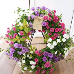 受注製作】ジニアの寄せ植えバスケット 母の日 寄せ植え 鉢花 フラワー