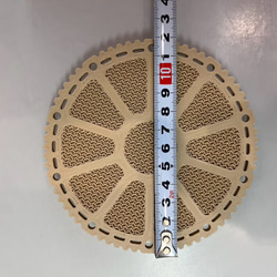 ビカクシダ　着生板　丸型　約φ120mm 3枚セット 4枚目の画像