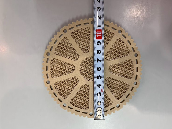ビカクシダ　着生板　丸型　約φ120mm 3枚セット 4枚目の画像