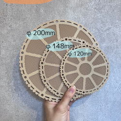 ビカクシダ　着生板　丸型　約φ120mm 3枚セット 5枚目の画像
