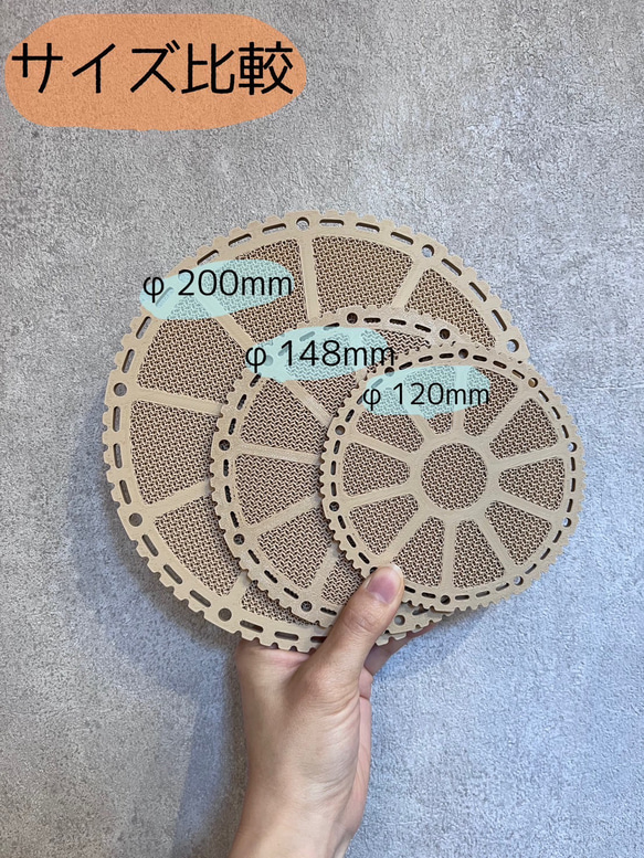 ビカクシダ　着生板　丸型　約φ120mm 3枚セット 5枚目の画像