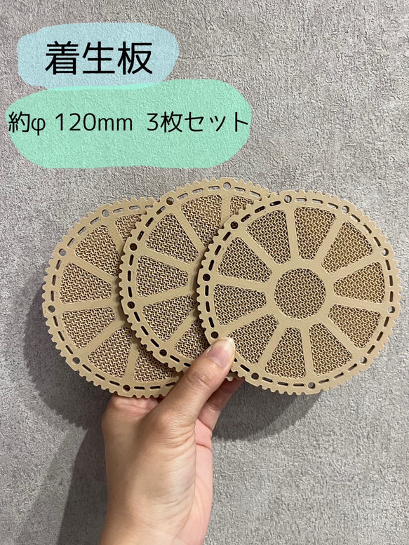 ビカクシダ　着生板　丸型　約φ120mm 3枚セット 2枚目の画像