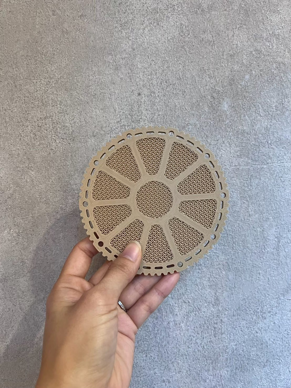 ビカクシダ　着生板　丸型　約φ120mm 3枚セット 3枚目の画像
