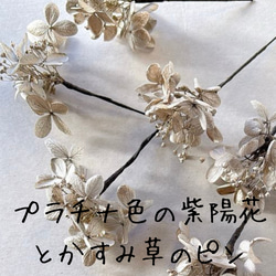 シンプル　ドライフラワー　かすみ草　紫陽花　プラチナ　オフホワイト　髪飾り　お呼ばれ　卒業式　成人式　振袖　飾りの足し 15枚目の画像