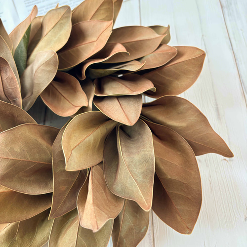 秋のマグノリアリーフリース 30cm｜タイサンボクのシンプルで