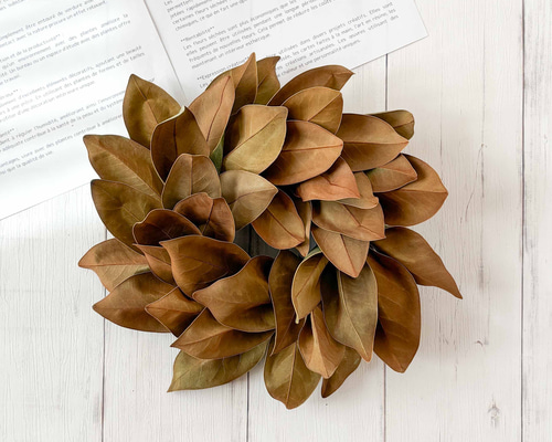 秋のマグノリアリーフリース 30cm｜タイサンボクのシンプルで