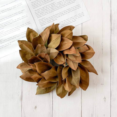 秋のマグノリアリーフリース 30cm｜タイサンボクのシンプルで