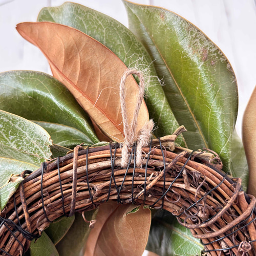 秋のマグノリアリーフリース 30cm｜タイサンボクのシンプルで