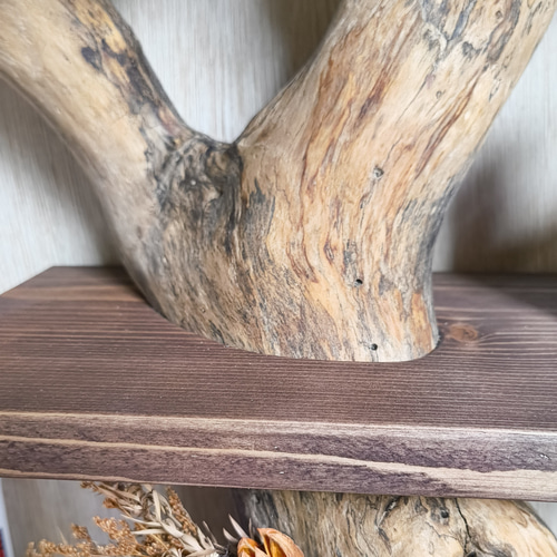 枝の棚 流木 本棚 シェルフ LEDライト 付き 無垢材 絵本棚 置物用棚 棚