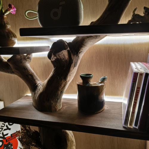 枝の棚 流木 本棚 シェルフ LEDライト 付き 無垢材 絵本棚 置物用棚 棚